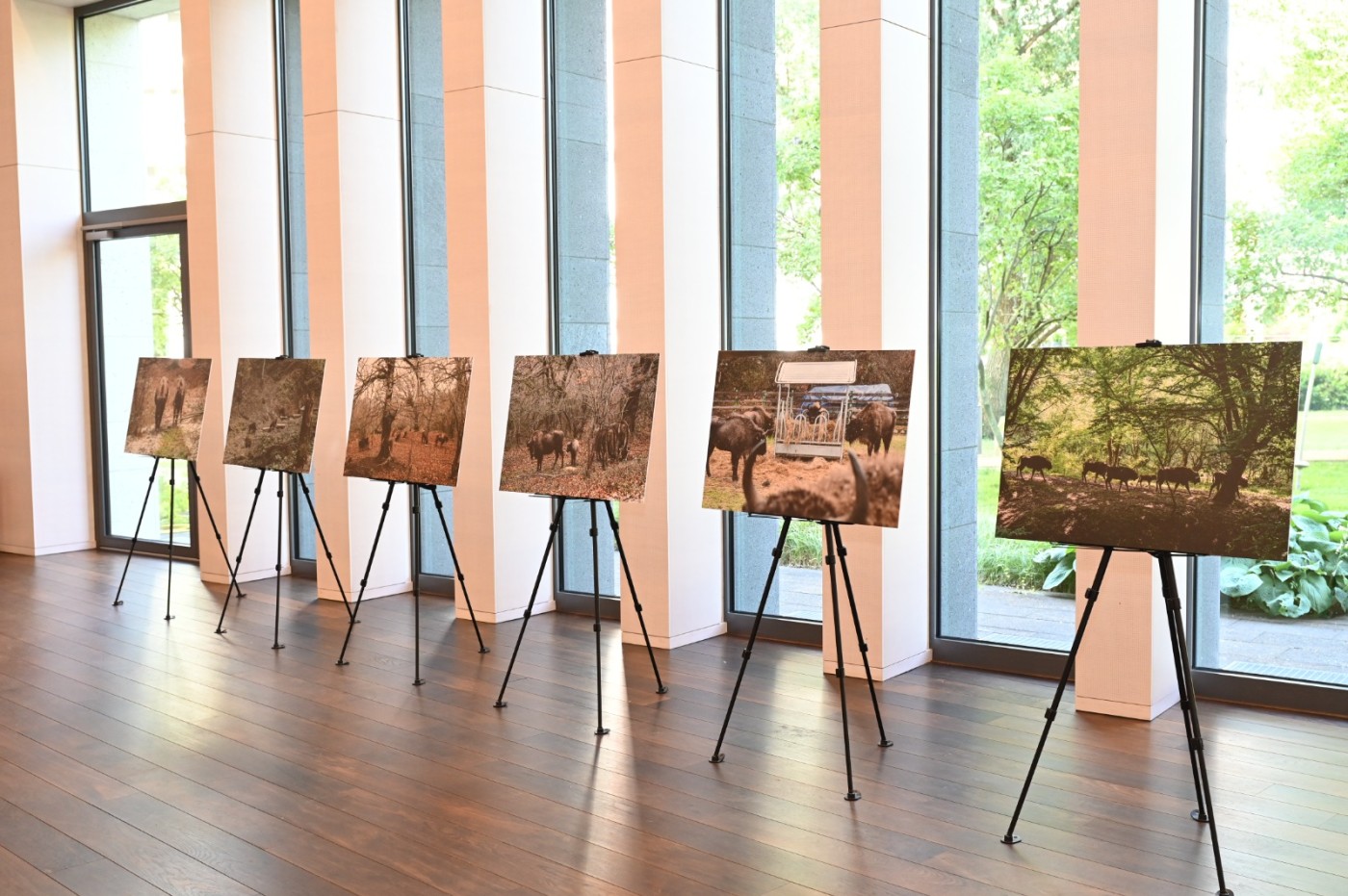 Leyla Əliyeva Berlində işgüzar səfərdə - FOTOLAR